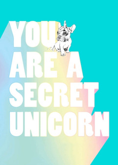 You Are a Secret Unicorn by Jill Pickle - Hardback