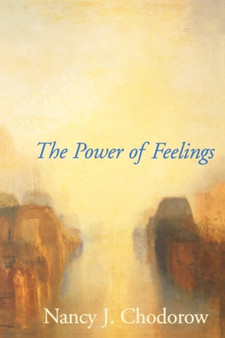 The Power of Feelings : Personal Meaning in Psychoanalysis, Gender, and Culture