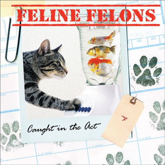 Feline Felons : Caught in the Act by Debbie Keller - Hardback