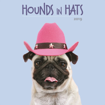 Hounds in Hats 2019 Calendar by Ardea Picture Library - Paperback