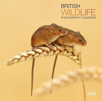 British Wildlife Photography 2022 Calendar by Mixed - Paperback