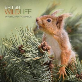 British Wildlife Photography Awards 2020 Calendar by Mixed - Paperback