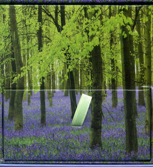 Memo Block - Bluebells by Peony Press - Hardback