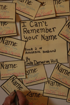 I Can't Remember Your Name by Sally Hull - Paperback