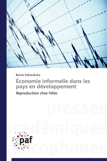 Economie Informelle Dans Les Pays En Developpement