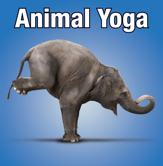 Animal Yoga by Willow Creek Press - Hardback