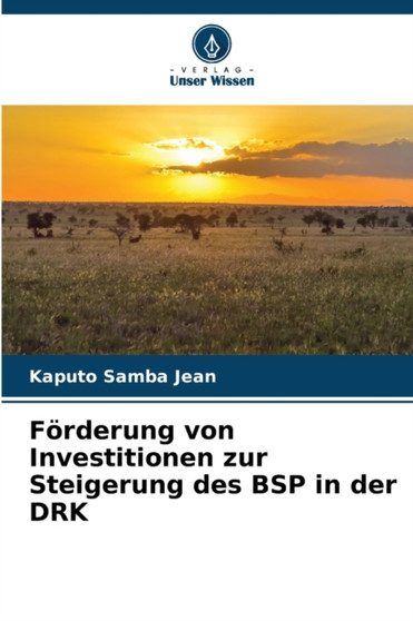 Forderung von Investitionen zur Steigerung des BSP in der DRK