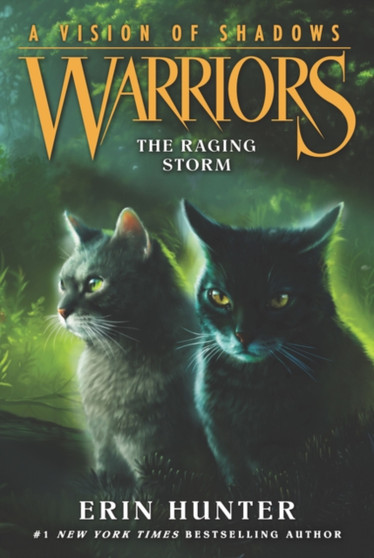 Warriors: A Vision of Shadows 6: The Raging Storm