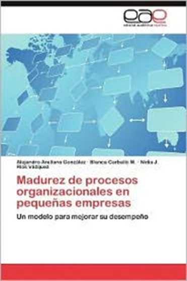 Madurez de Procesos Organizacionales En Pequenas Empresas