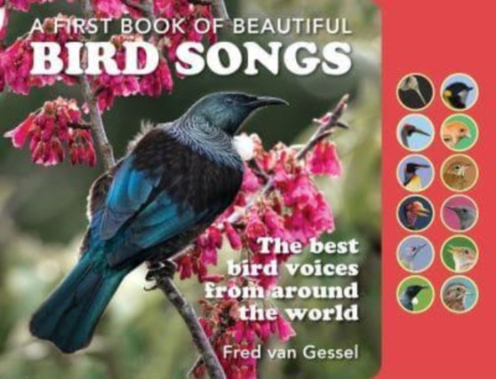 A First Book of Beautiful Bird Songs : The best bird voices from around the world