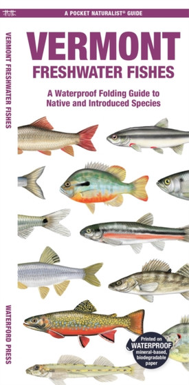Vermont Freshwater Fishes : A Waterproof Folding Guide to Native and Introduced Species
