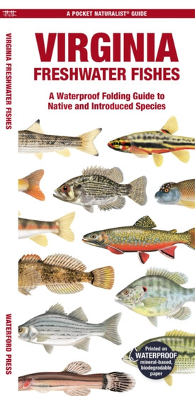 Virginia Freshwater Fishes : A Waterproof Folding Guide to Native and Introduced Species