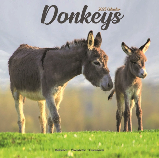 Donkeys Calendar 2025 Square Animal Wall Calendar - 16 Month
