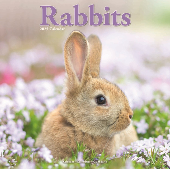 Rabbits Calendar 2025 Square Animal Wall Calendar - 16 Month