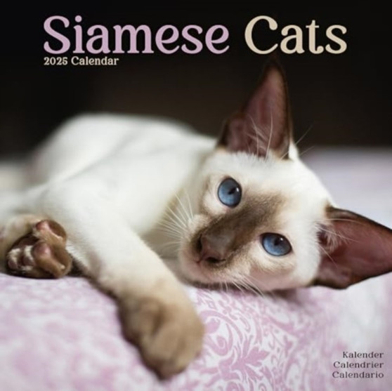 Cats - Siamese Calendar 2025 Square Cat Wall Calendar - 16 Month