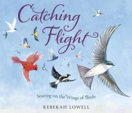 Catching Flight : Soaring on the Wings of Birds