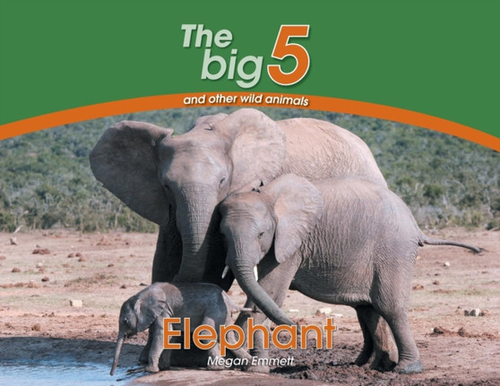 Elephant : The Big 5 and other wild animals