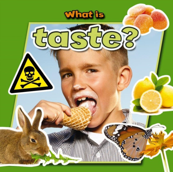 What is Taste?
