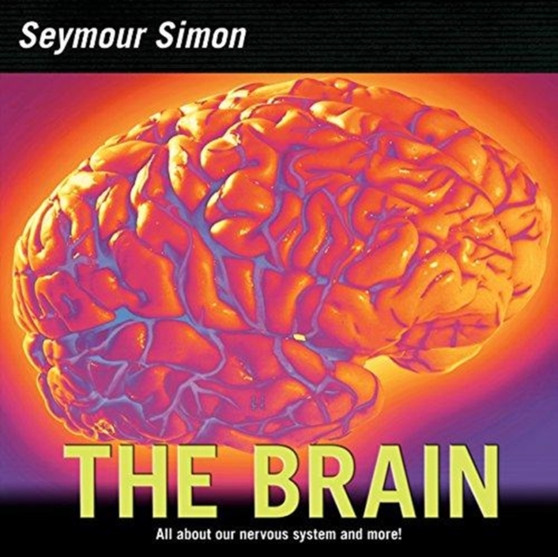 The Brain : All about Our Nervous System and More!