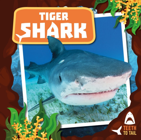 Tiger Shark : Teeth to Tail