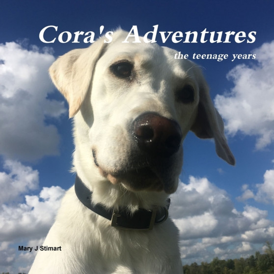 Cora's Adventures : the teenage years