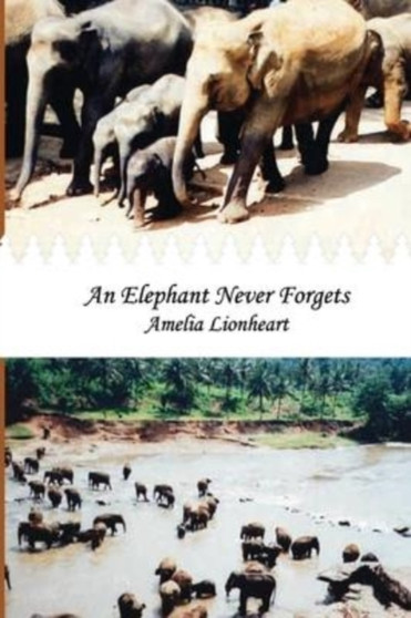 An Elephant Never Forgets : 3