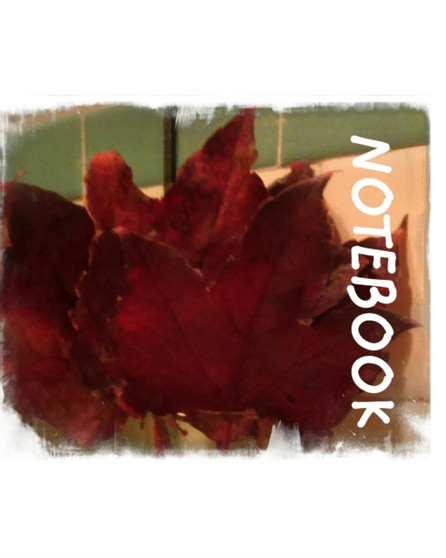 Beauty of The Season of Autumn : Autum Leaves