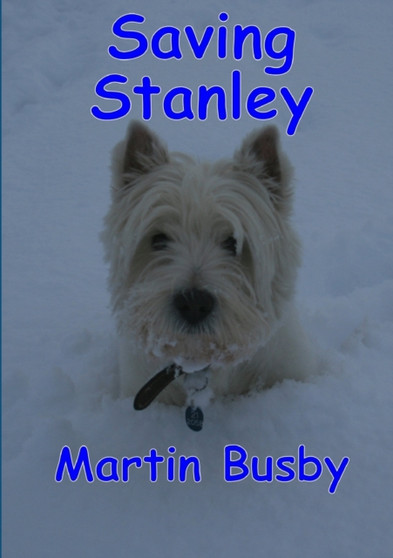 Saving Stanley: an Adventure