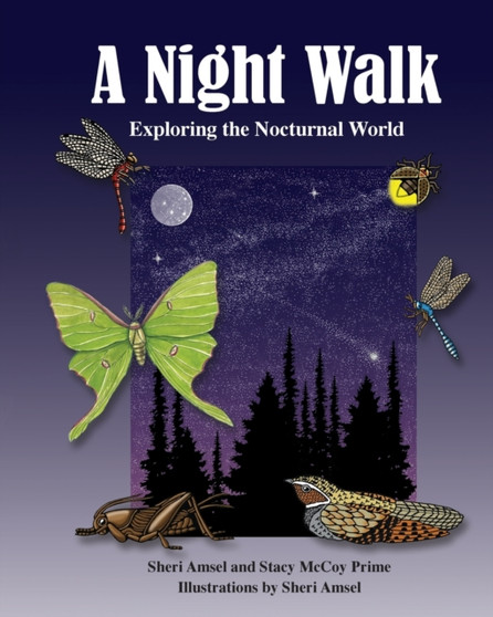 A Night Walk : Exploring the Nocturnal World