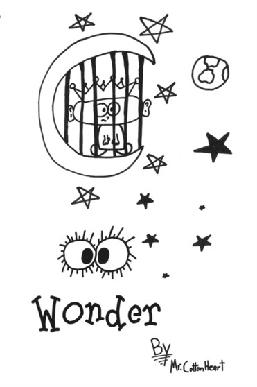Wonder : A Story About a Boy and His Loss