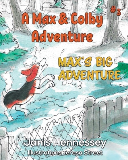 Max's Big Adventure : Max's Big Adventure : 3