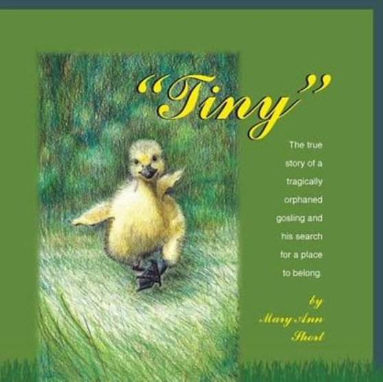 Tiny