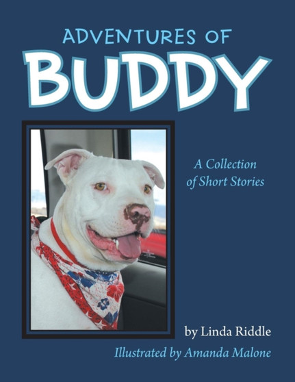 Adventures of Buddy : A Collection of Short Stories
