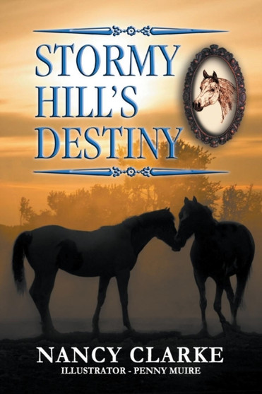 Stormy Hill's Destiny : Book 7 : 7