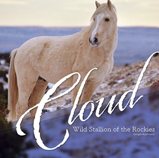 Cloud : Wild Stallion of the Rockies