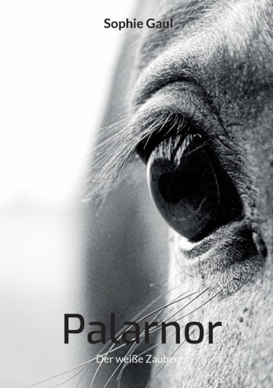 Palarnor : Der weisse Zauberer