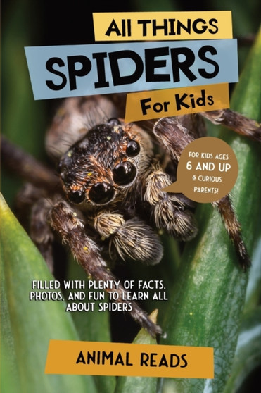 All Things Spiders For Kids : Filled With Plenty of Facts, Photos, and Fun to Learn all About Spiders