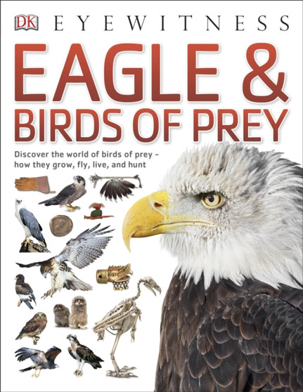 Eagle & Birds of Prey