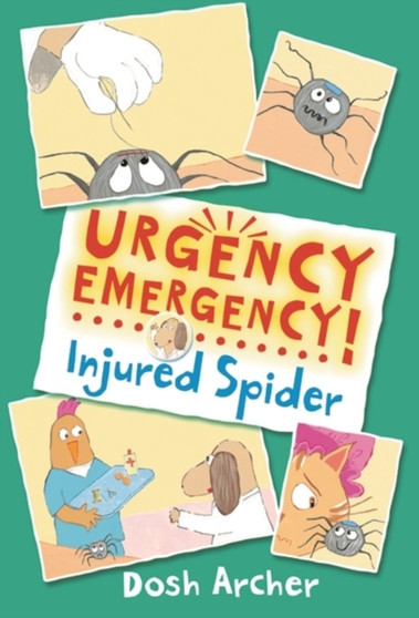 URGENCY EMERGENCY! Injured Spider