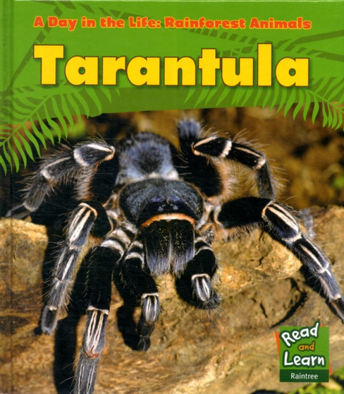 Tarantula