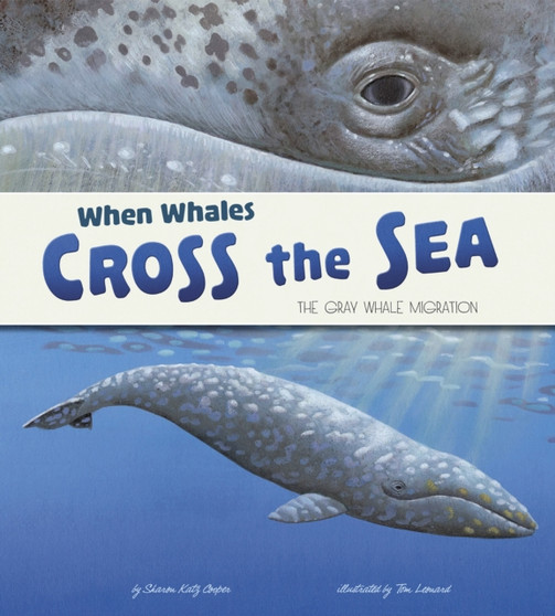 When Whales Cross the Sea : The Grey Whale Migration