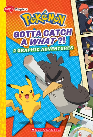 Gotta Catch a What?! (Pokemon: Graphix Chapters) : Gotta Catch a What?! (Pokemon: Graphic Collection 3)