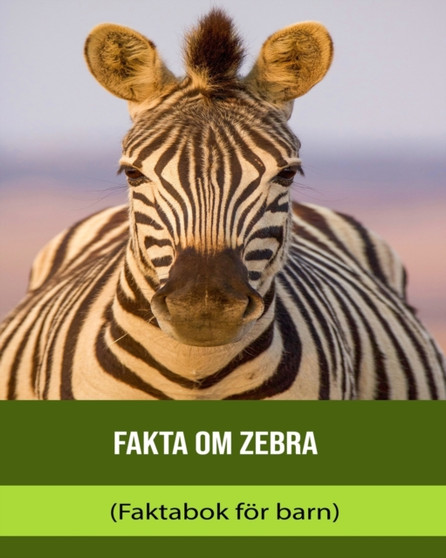 Fakta om Zebra (Faktabok foer barn)