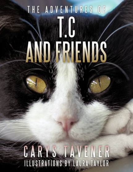 The Adventures of T.C and Friends