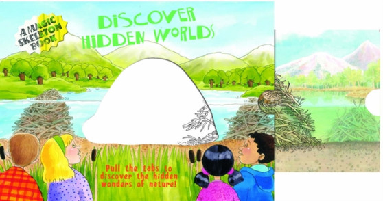 Hidden Worlds