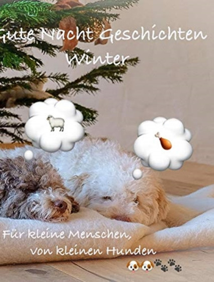 Gute Nacht Geschichten Winter
