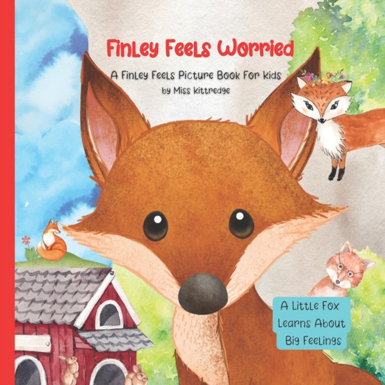 Finley Feels Worried : A Kid's Picture Book About Feelings