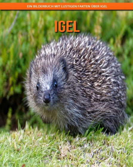 Igel : Ein Bilderbuch mit lustigen Fakten uber Igel