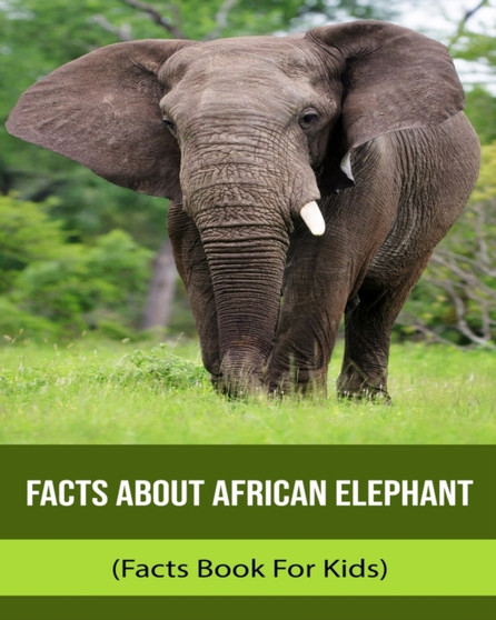 Facts About African Elephant (Facts Book For Kids)