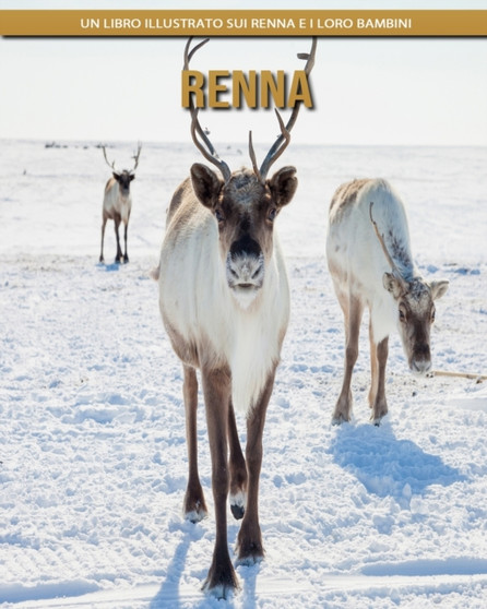 Renna : Un libro illustrato sui Renna e i loro bambini